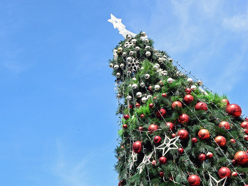 Kibon ilumina o Natal